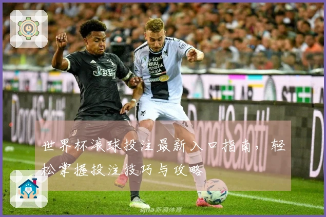 世界杯滚球投注最新入口指南，轻松掌握投注技巧与攻略