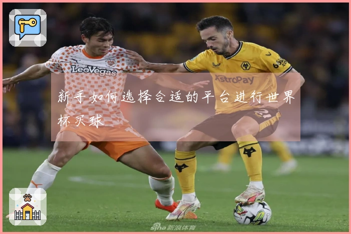 新手如何选择合适的平台进行世界杯买球