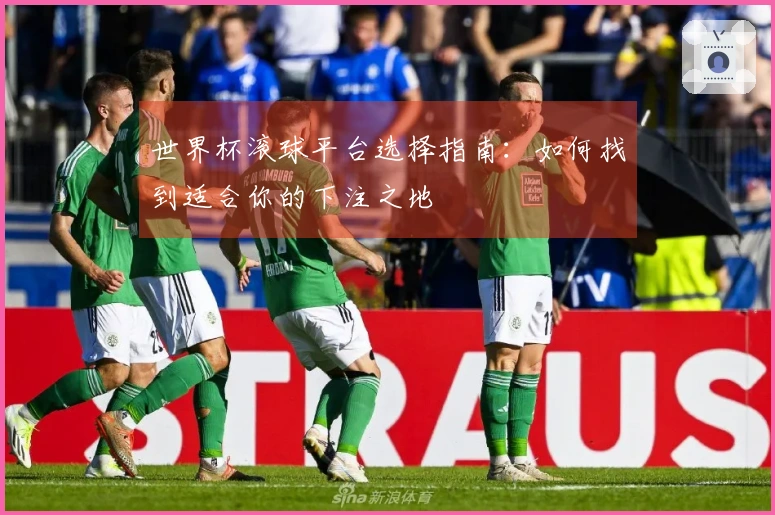 世界杯滚球平台选择指南：如何找到适合你的下注之地