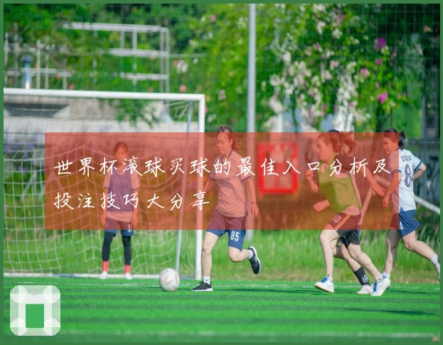 世界杯滚球买球的最佳入口分析及投注技巧大分享