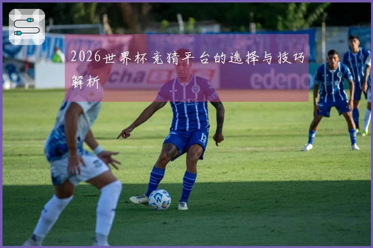 2026世界杯竞猜平台的选择与技巧解析