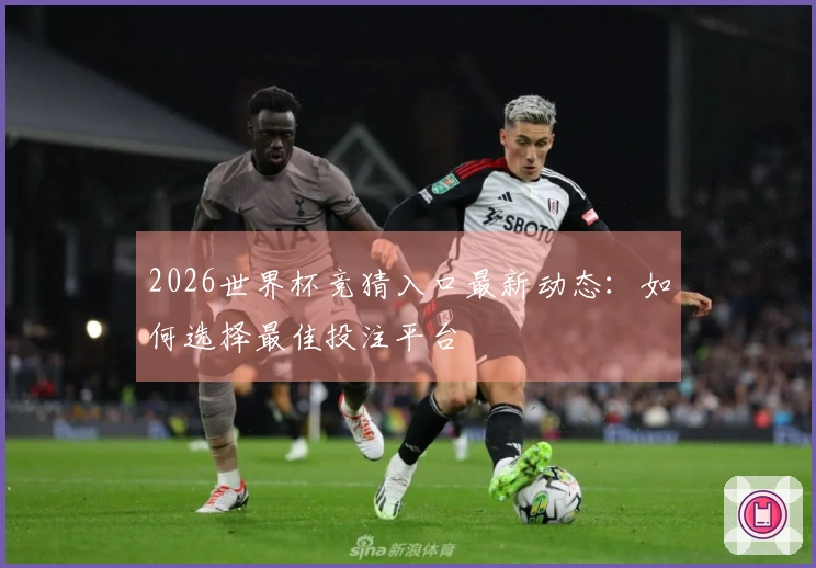 2026世界杯竞猜入口最新动态：如何选择最佳投注平台