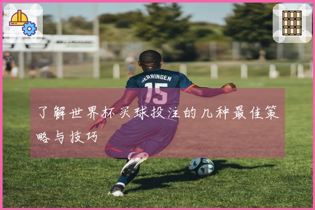 了解世界杯买球投注的几种最佳策略与技巧