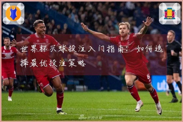 世界杯买球投注入门指南：如何选择最优投注策略