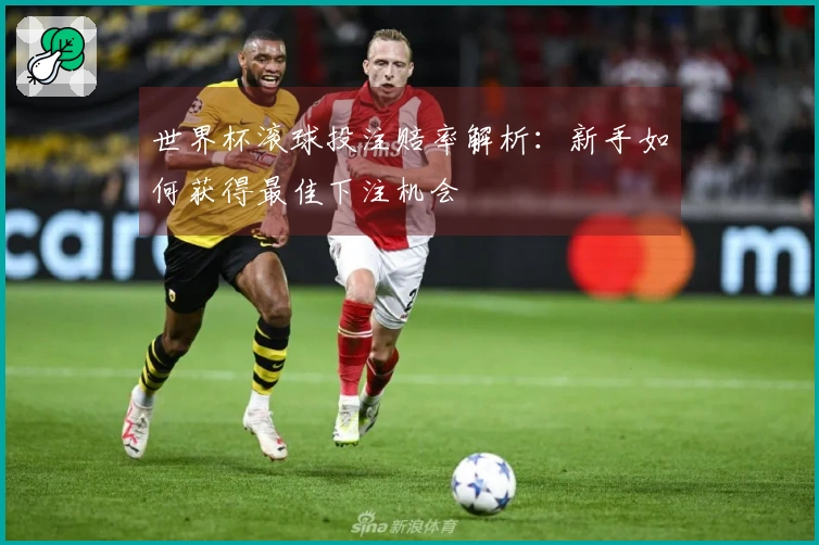 世界杯滚球投注赔率解析：新手如何获得最佳下注机会