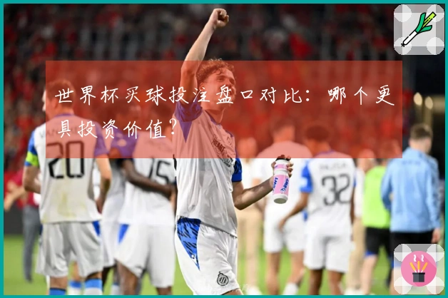 世界杯买球投注盘口对比：哪个更具投资价值？