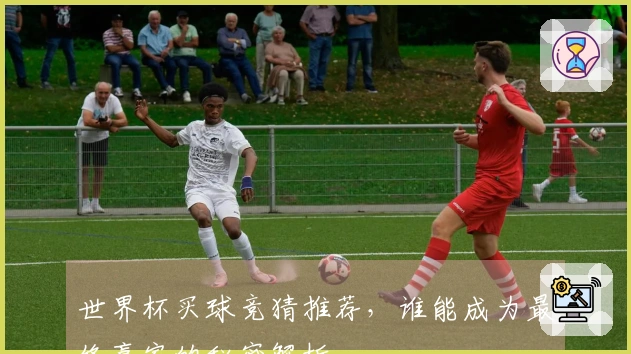 世界杯买球竞猜推荐，谁能成为最终赢家的秘密解析