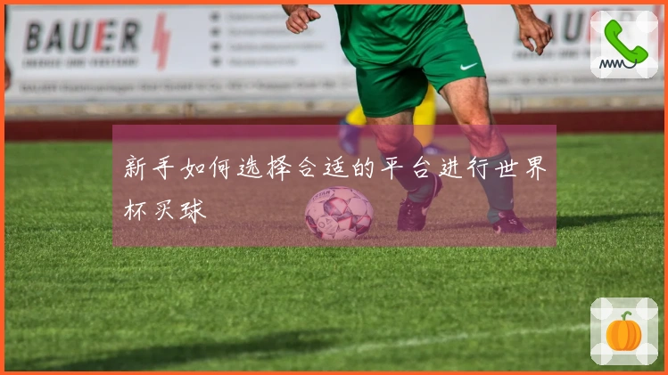 新手如何选择合适的平台进行世界杯买球