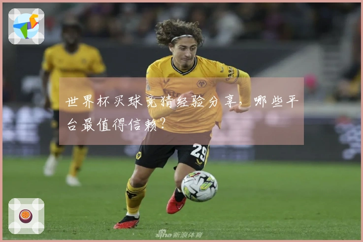 世界杯买球竞猜经验分享，哪些平台最值得信赖？