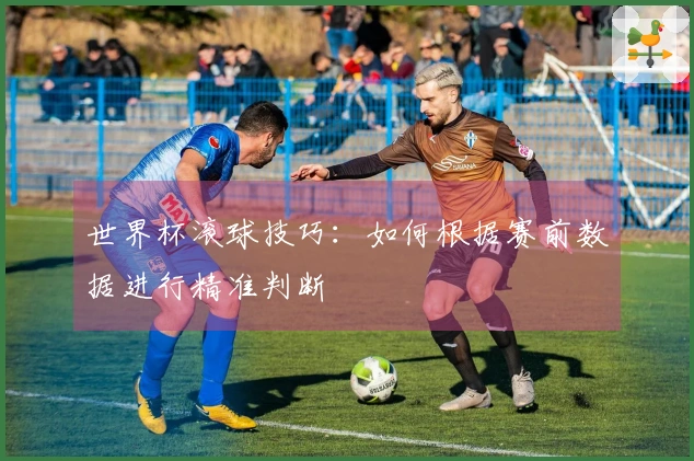世界杯滚球技巧：如何根据赛前数据进行精准判断