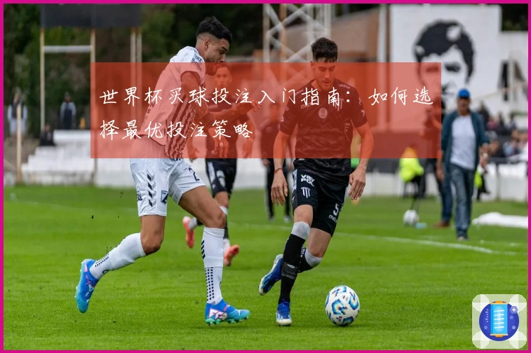 世界杯买球投注入门指南：如何选择最优投注策略