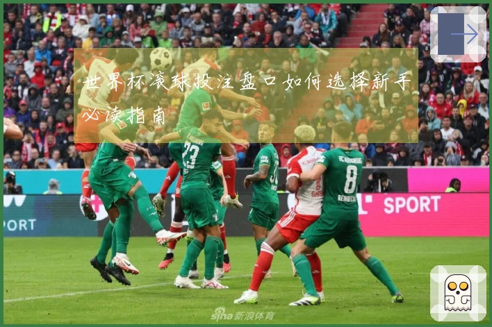 世界杯滚球投注盘口如何选择新手必读指南