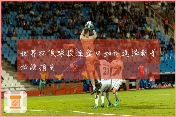 世界杯滚球投注盘口如何选择新手必读指南