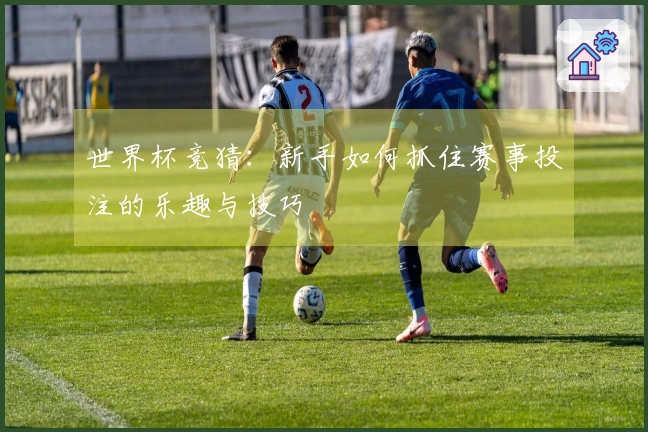 世界杯竞猜：新手如何抓住赛事投注的乐趣与技巧