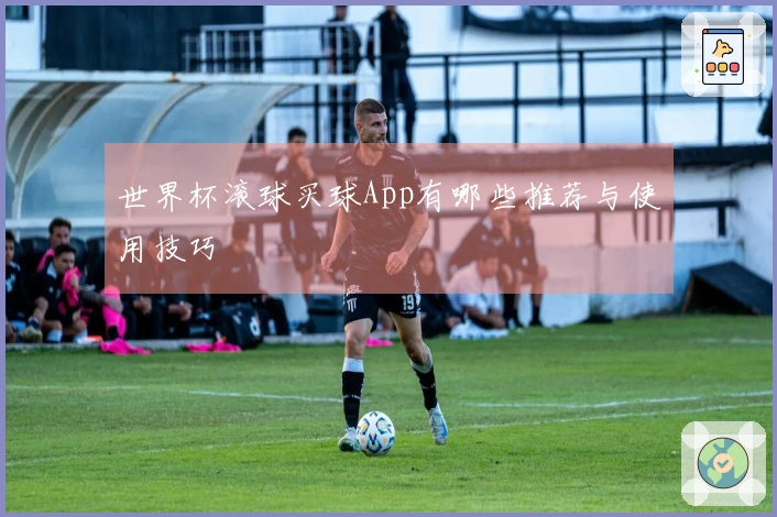 世界杯滚球买球App有哪些推荐与使用技巧