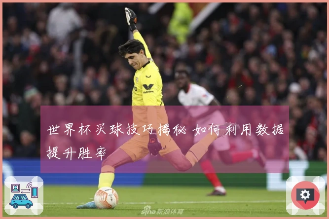 世界杯买球技巧揭秘 如何利用数据提升胜率