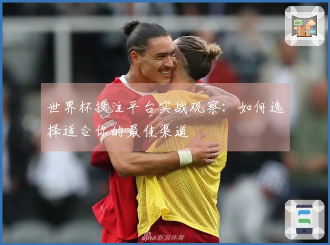 世界杯投注平台实战观察：如何选择适合你的最佳渠道