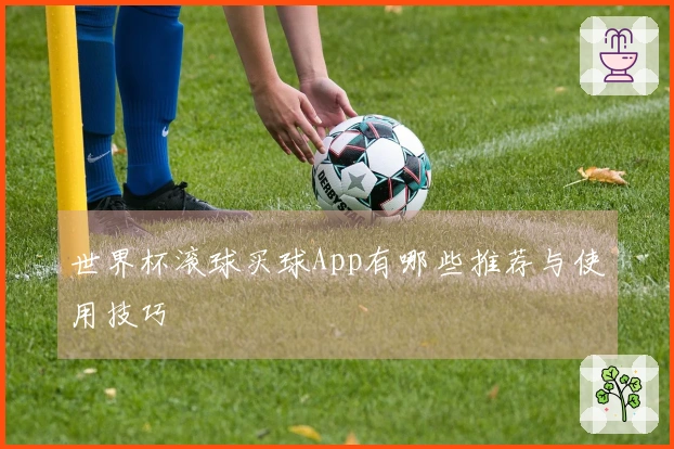世界杯滚球买球App有哪些推荐与使用技巧