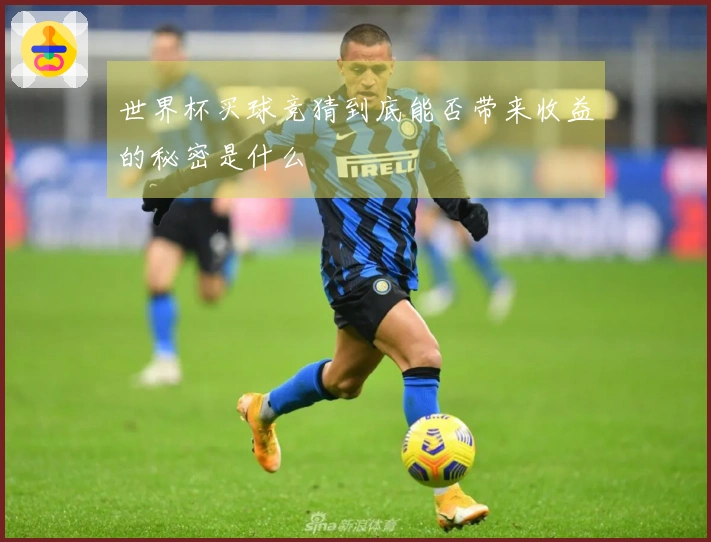 世界杯买球竞猜到底能否带来收益的秘密是什么