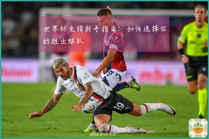 世界杯竞猜新手指南：如何选择你的胜出球队