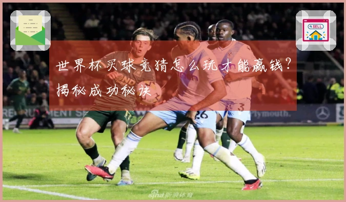 世界杯买球竞猜怎么玩才能赢钱？揭秘成功秘诀