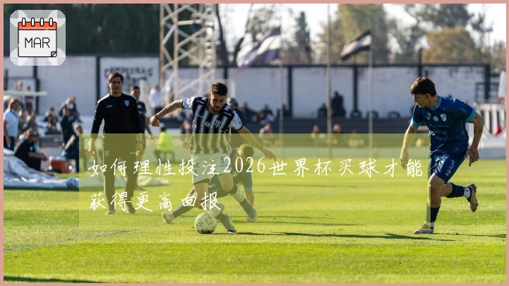 如何理性投注2026世界杯买球才能获得更高回报