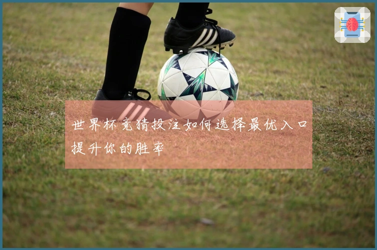 世界杯竞猜投注如何选择最优入口提升你的胜率