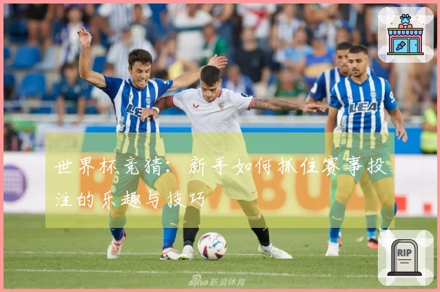 世界杯竞猜：新手如何抓住赛事投注的乐趣与技巧
